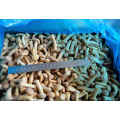 Frozen Mushroom IQF Nameko Whole